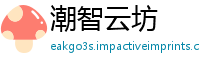 潮智云坊